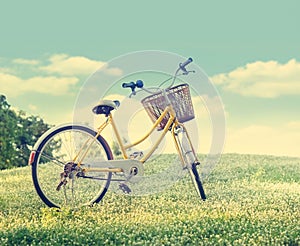 Bicycle on the white flower field and grass in sunshine nature background, Pastel and vintage color tone