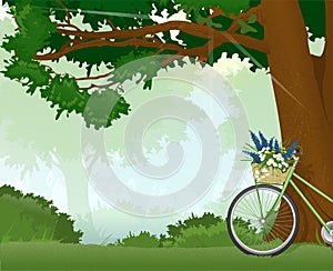 Bicycle whith a flowers in the forest