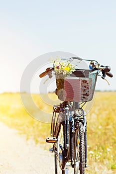 Bicycle with wild flowers bouquet in it basket , bike in fields in summertime at sunse