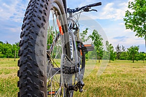 Bicycle in the woods