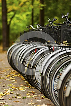 Bicycles in autumn