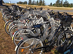 Bicycles bikes rental for travelers in nature