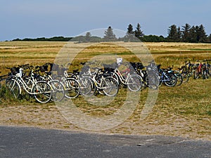 Bicycles bikes rental for travelers in nature