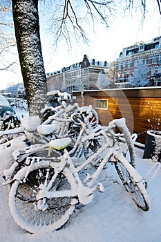 Bicycles covered in snow