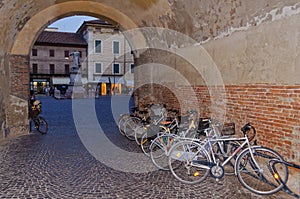 Bicycles - Ferrara