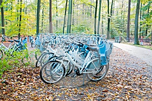 Bicycles in the forest at the Hoge Veluwe Netherlands photo