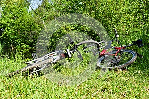 Bicycles on the grass in nature, cycling in the fresh air