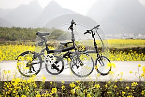 Bicycles outdoors,spring outing