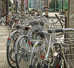 Bicycles parked along side of pathway