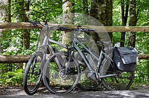 bicycles parked in the forest