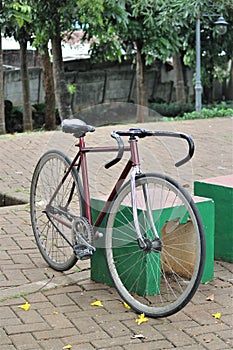 bicycles parked in the garden