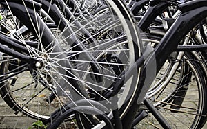 Bicycles parked in the Netherlands