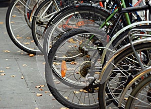 Bicycles parked on street
