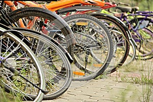 Bicycles parked together