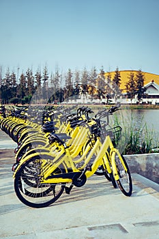 Bicycles parking in campus