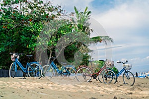 Bicycles for rent on a sandy beach next to the ocean on a background of tropical greenery.