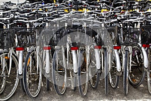 Bicycles renting shop pattern rows parking