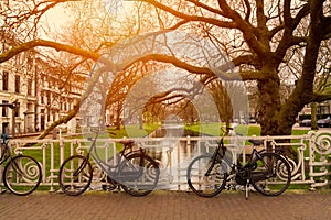 Bicycles in Rotterdam