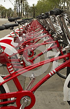 Bicycles photo
