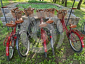 Bicycles for traveling tourists. Bicycles for transportation are under a canopy. Vehicles with spoked wheels and a basket on the