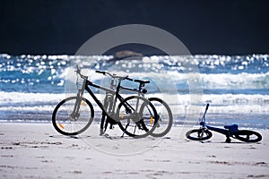 Bicycles for the whole family are waiting for cyclists on the Pa