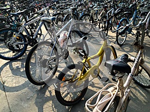 Bicycles in Xiamen University campus, southeast China