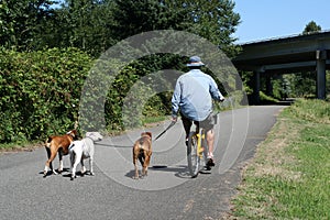 Bicycling with Dogs