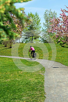 Bicycling in park. photo