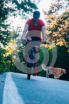 Bicyclist biker rides his bicycle in nature while being accompanied by his dog a golden retriever