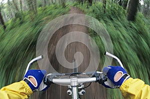 Bicyclist Maneuvering Path Through Forest