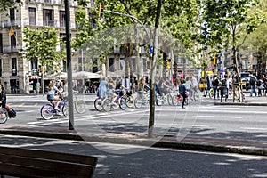Bicyclists crossing crosswalk in Barcelona