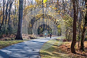 Bicyclists riding through a wooded autumn scene