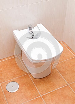 Bidet in a bathroom