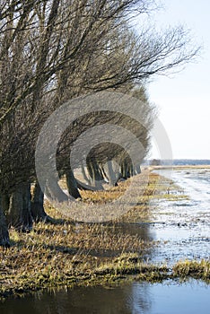 Biebrza National Park