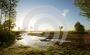 Biebrza National Park in the morning photo