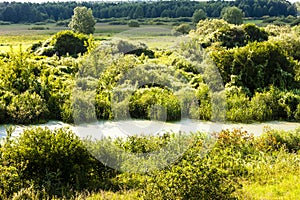 Biebrza National Park, Podlaskie Voivodeship, Poland