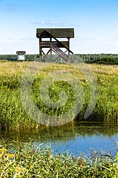 Biebrza National Park, Podlaskie Voivodeship, Poland