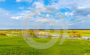 Biebrza river wetlands and bird wildlife reserve during spring nesting period in Burzyn village in Poland