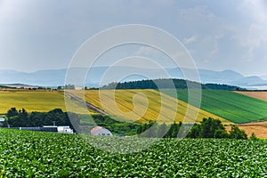 BIei agriculture area