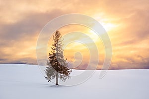 Biei, Hokkaido, Japan in Winter