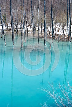 Biei Shirogane Blue Pond