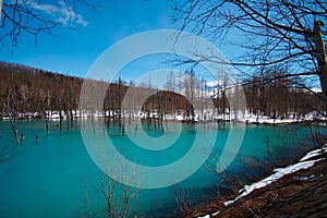 Biei Shirogane Blue Pond photo