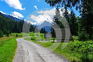 Bielovodska valley. Beautiful summer landscape in the Tatras.