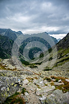 Bielovodska valley in High Tatras mountains, Slovakia. Slovakia landscape.