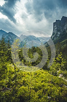 Bielovodska valley in High Tatras mountains, Slovakia. Slovakia landscape.