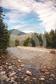 Bielovodska valley in High Tatras mountains, Slovakia. Slovakia landscape.