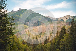 Bielovodska valley in High Tatras mountains, Slovakia. Slovakia landscape.