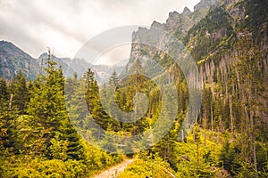 Bielovodska valley in High Tatras mountains, Slovakia. Slovakia landscape.