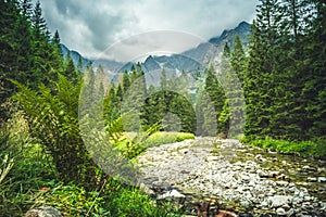 Bielovodska valley in High Tatras mountains, Slovakia. Slovakia landscape.