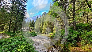 Bielovodska valley, High Tatras, Slovakia.